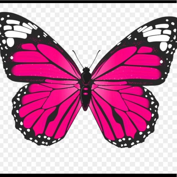 mariposasjv